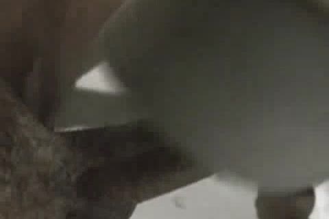 Voyeur