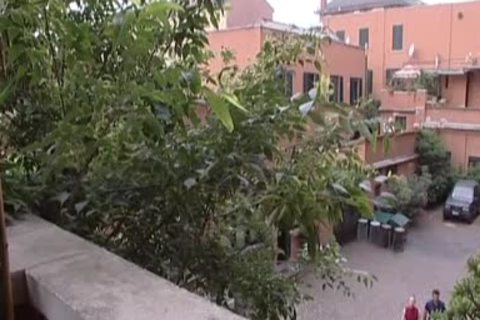 1st Time knob-suckers Acquire A Feel For It