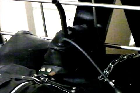 Wearing A Rubber Cat Suit Inside A Leather Body Bag chained To The sofa, Hooded And Gagged, Then Teased For Two Hours Until that guy sperm.