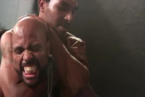 wicked males enjoy sadomasochism