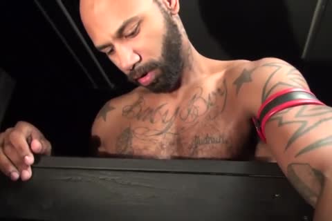 Bearded paramour blowing Back That Frightening darksome Skinned Hog.