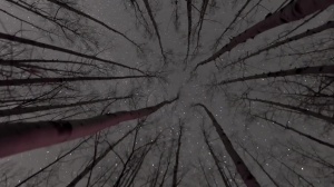 Stranded - Damien Stone & Jack Hunter anal bone