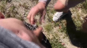 men In Public 5 – Hike - butthole plow