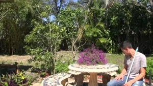 Doing Drake - dilettante Hook up