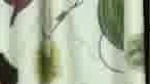 Sucked Down - non-professional Love