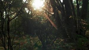 Tom Of Finland: 1957 - Kurtis Wolfe and Matthew Camp American Hump