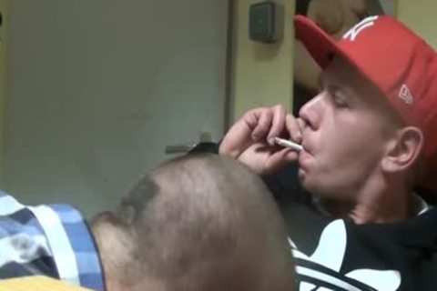 Pig Prod - Night Shift