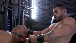 Arad Win-win Dillon Diaz