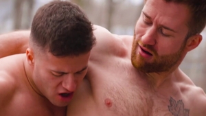 FalconStudios: Scene