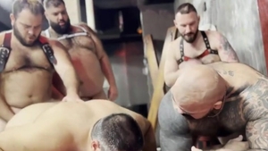 Bear fuckfest
