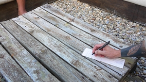 SayUncle Labs: Uncut Uncertainty in Unpaid Debts