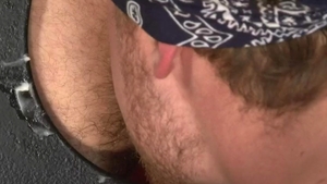 Falcon Studios: A Whackjob Frenzy For Two