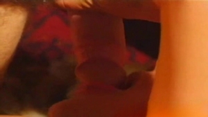 Boyz Party: Untamed Passions